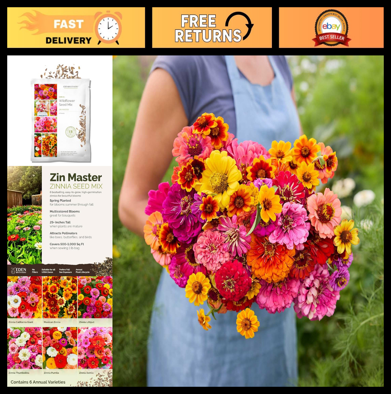 Zinnia Seeds for Planting – 1 lb Non-GMO Flower Seed Mix, 480,000+ Seeds, 6 Vari