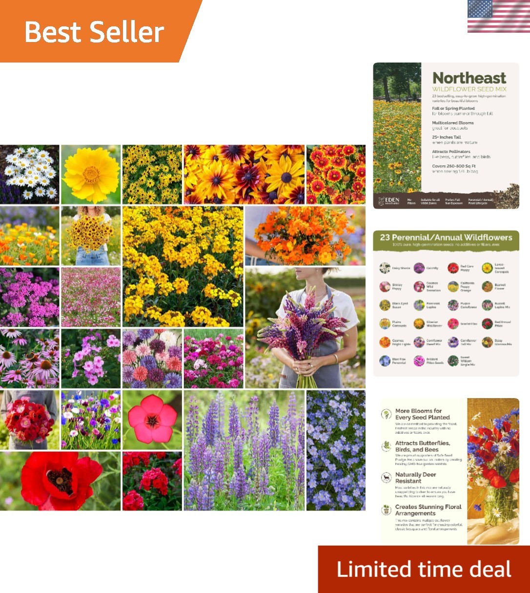 Northeast Wildflower Mixed Seeds, 1/4 lb, 120K+ Non-GMO for Pollinator Gardens