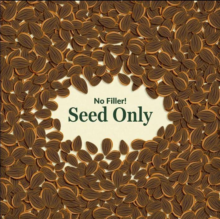 1 LB Southeast Mix Bulk Wildflower Seeds Planting Garden Meadow Outdoors