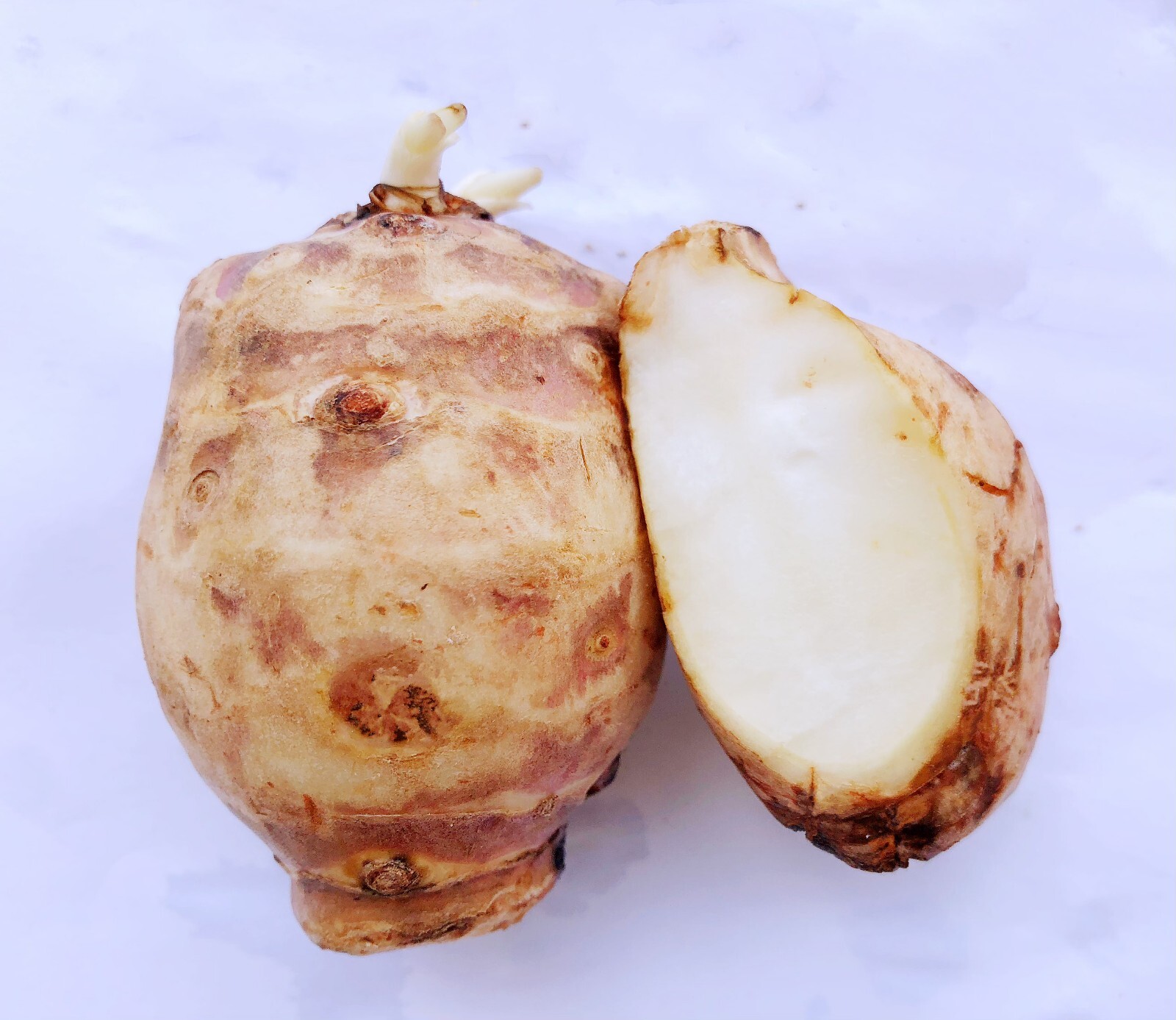 Jerusalem Artichokes-3 SproutingTubers for Planting, Tall Plant with Big Yields