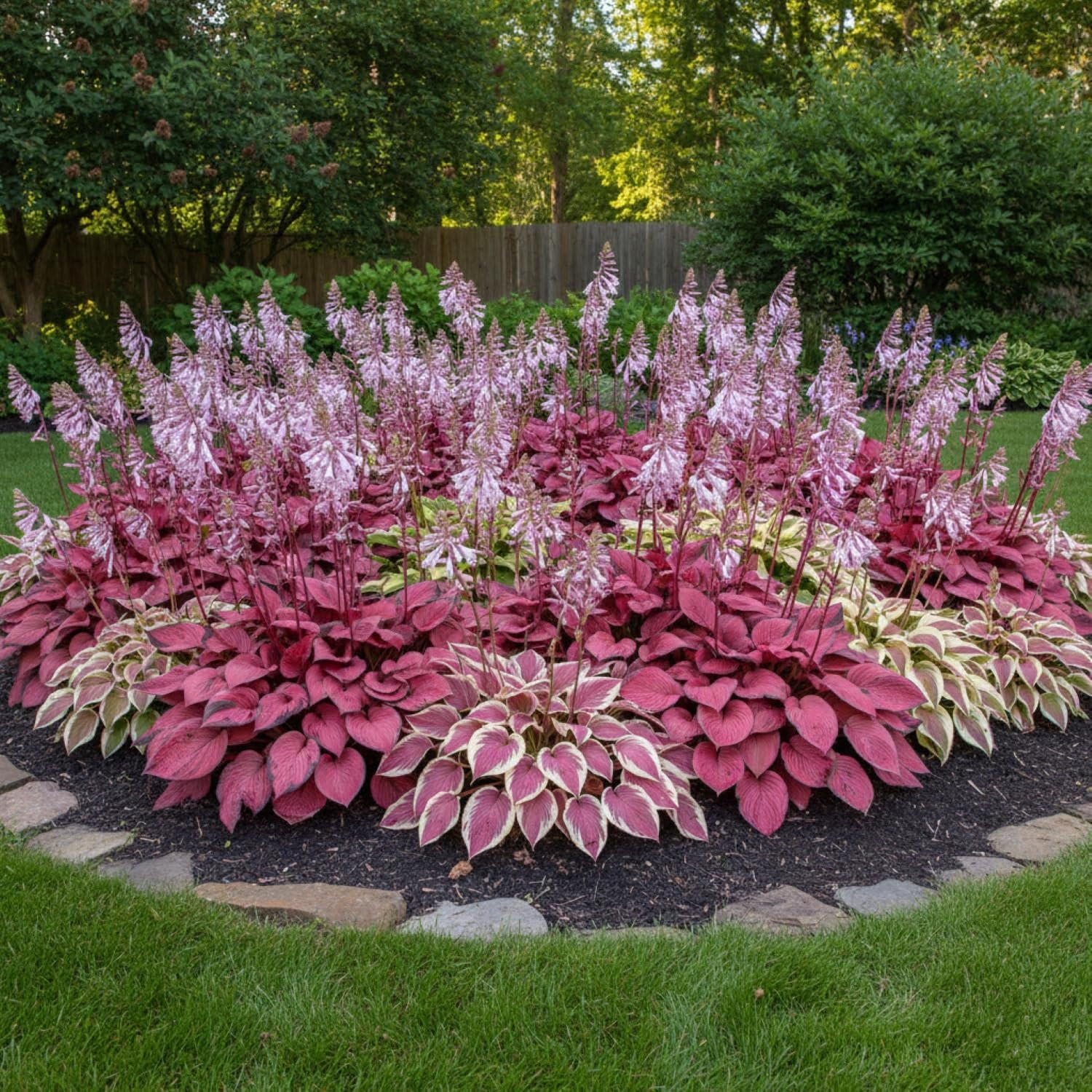 100+ Hosta Seeds for Planting Outdoors, Mixed Color Rare Perennial Flower Seeds,