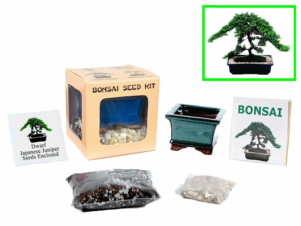 Special Price 3-for-4 Bundle Eve’s Bonsai Seed Kit to Grow Bonsai Tree from Seed