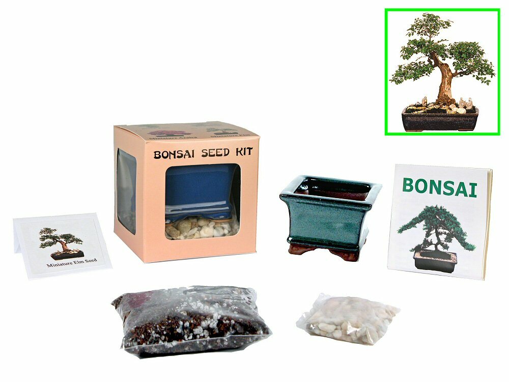 Special Price 3-for-4 Bundle Eve’s Bonsai Seed Kit to Grow Bonsai Tree from Seed