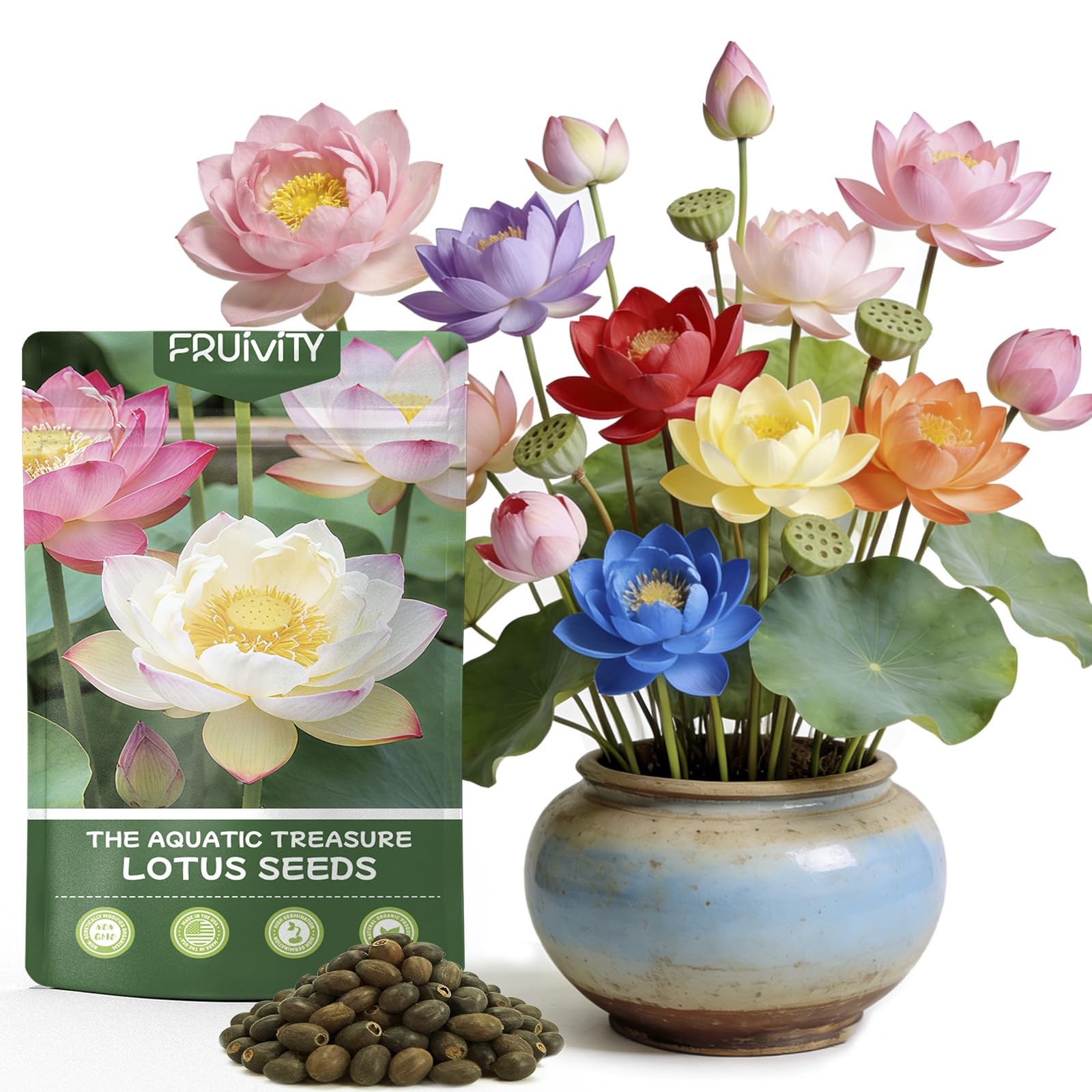 30 PCS Lotus Seeds for Planting in Water – Mixed Color Bowl Lotus Seeds, Live…