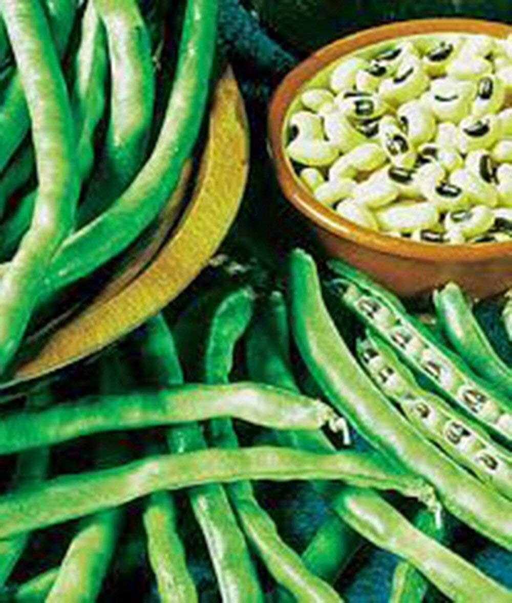 25  Black Eyed Pea Seeds for Planting Made in USA Ships from LOUISIANA  Non-GMO
