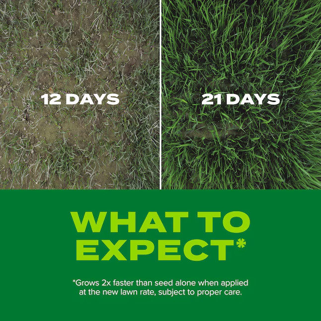 [SALE] Scotts Turf Builder Rapid Grass Sun Shade 5.6-lb Mixture/Blend Grass Seed