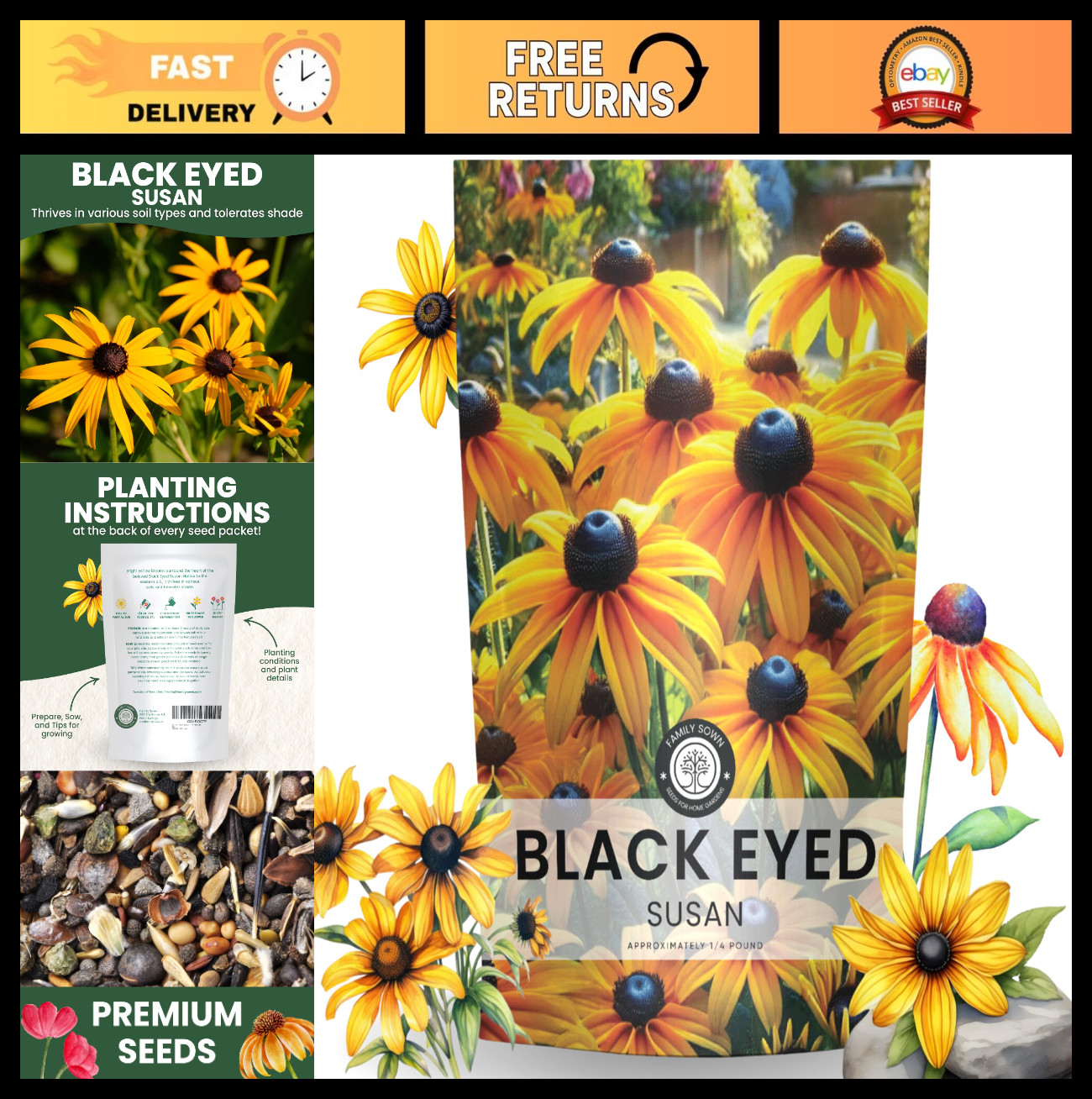 Bulk 1/4 lb Black Eyed Susan Seeds – 400,000 Rudbeckia Flower Seeds for Planting