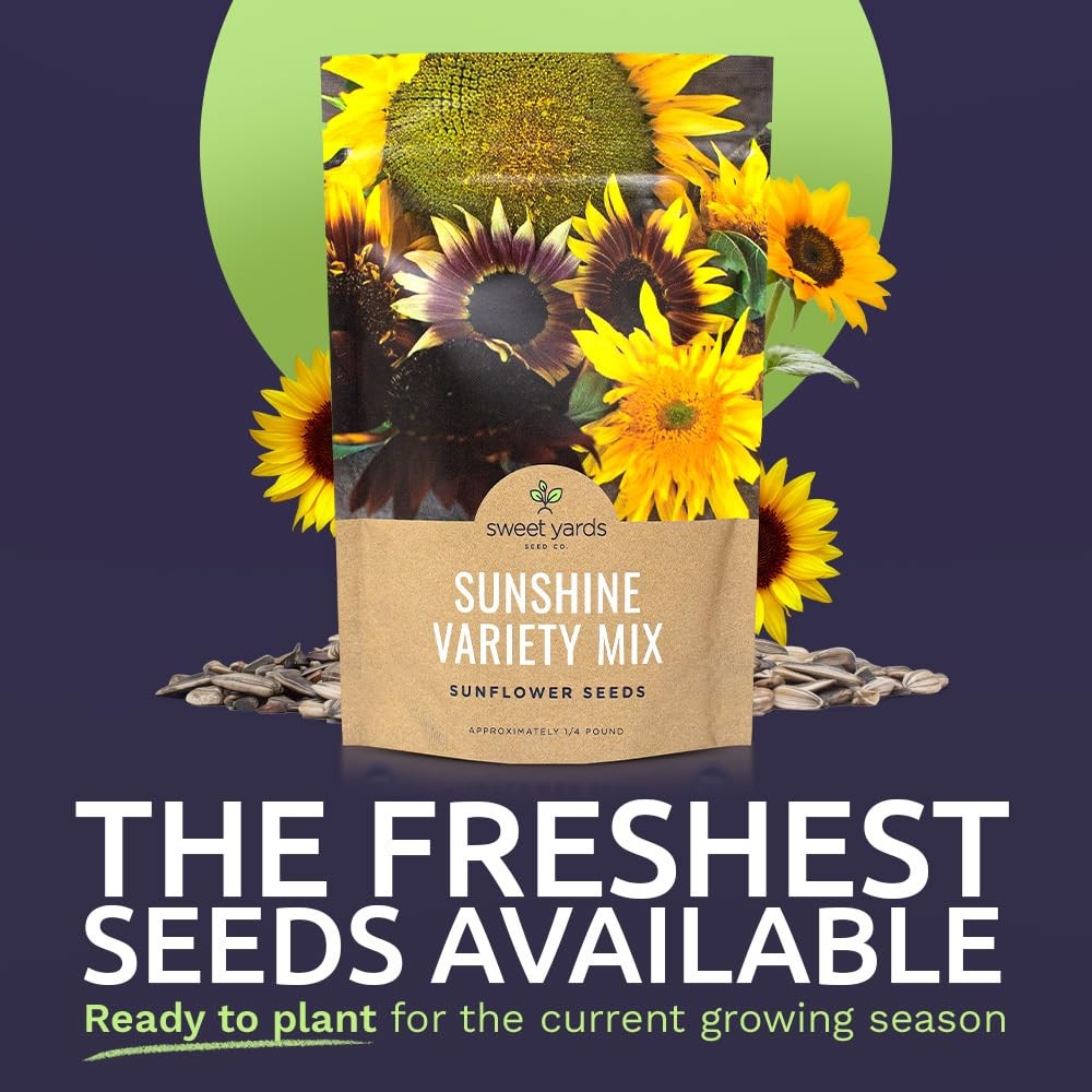 Bulk Sunflower Seeds – Variety Mix 10 Types of Beautiful Sunflowers – 1/4 Pou…