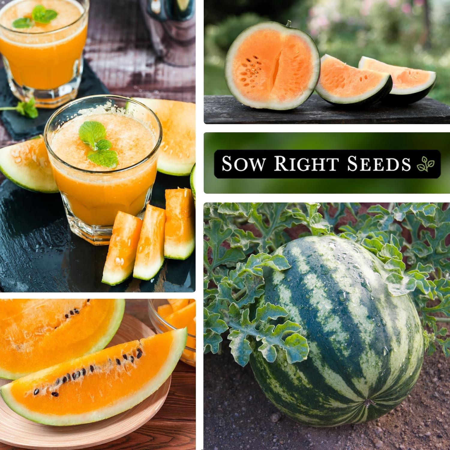 – Tendersweet Watermelon Seeds for Planting – Non-GMO Heirloom Seeds to Plant…