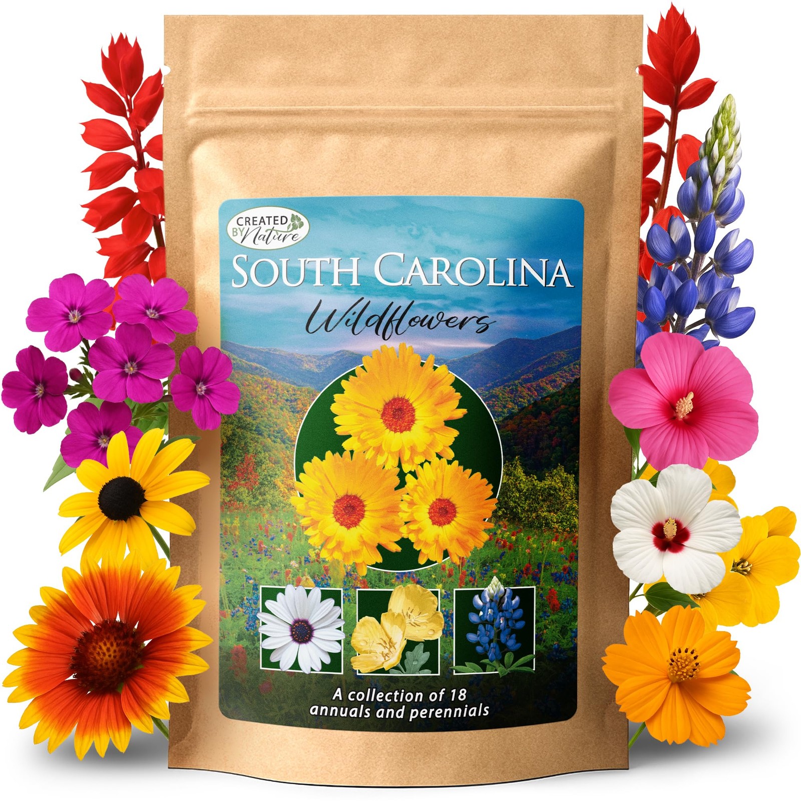 South Carolina Wildflower Seed Mix, 18 Flower Varieties, 35,000 Seeds