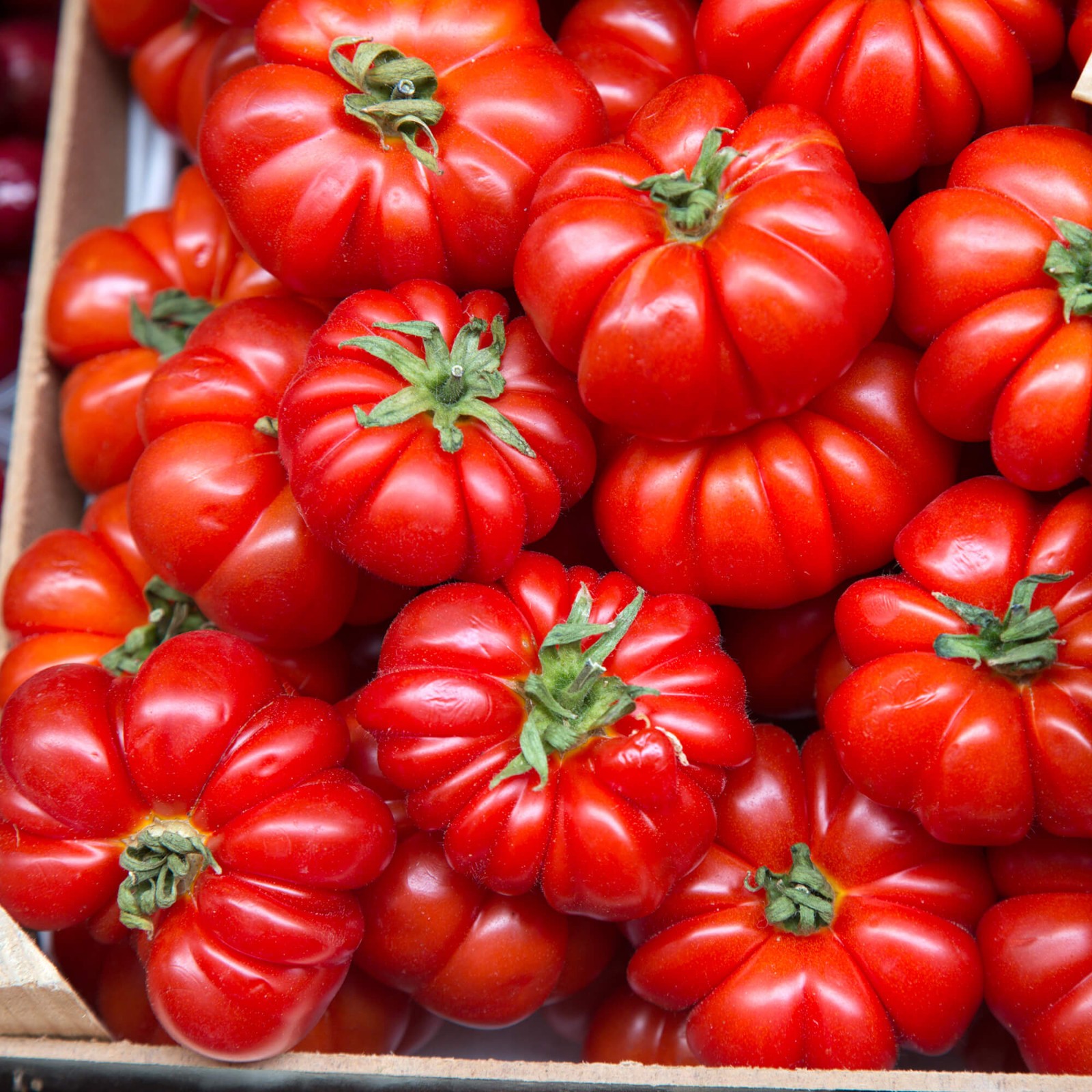 Rosso Sicilian Tomato Seeds | Heirloom / Non-GMO | Free Ship | Seed Store | 1298