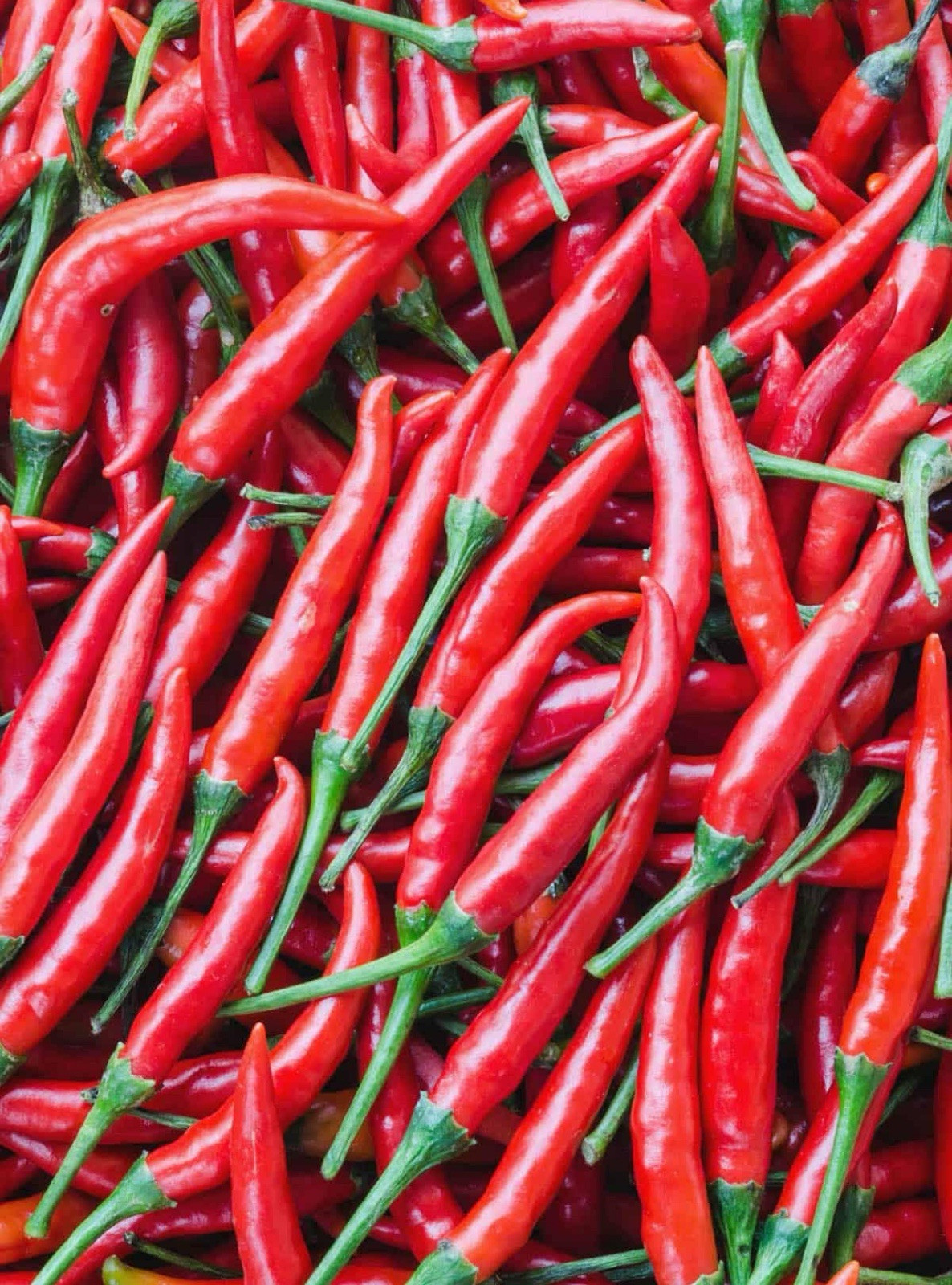 Cayenne Pepper Seeds 10ct