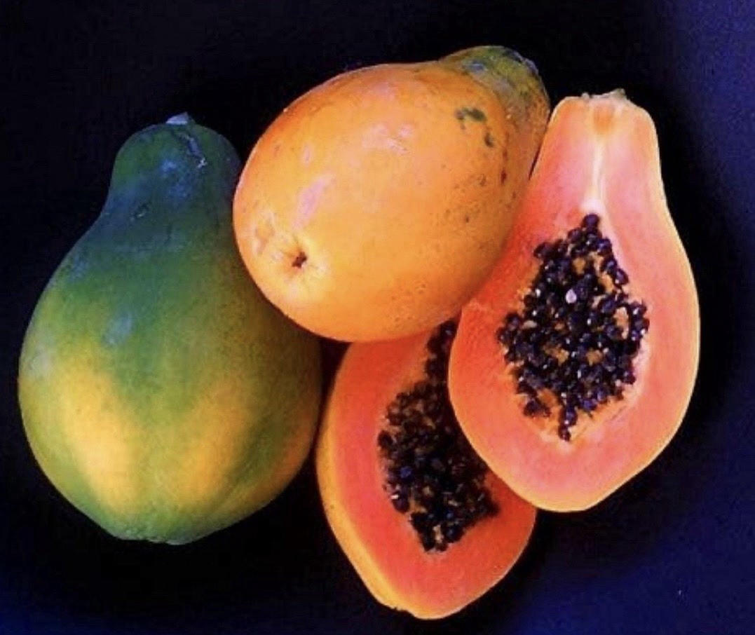 Papaya seeds Hawaiian Strawberry 25 fresh seeds*Non GMO *No pesticides.