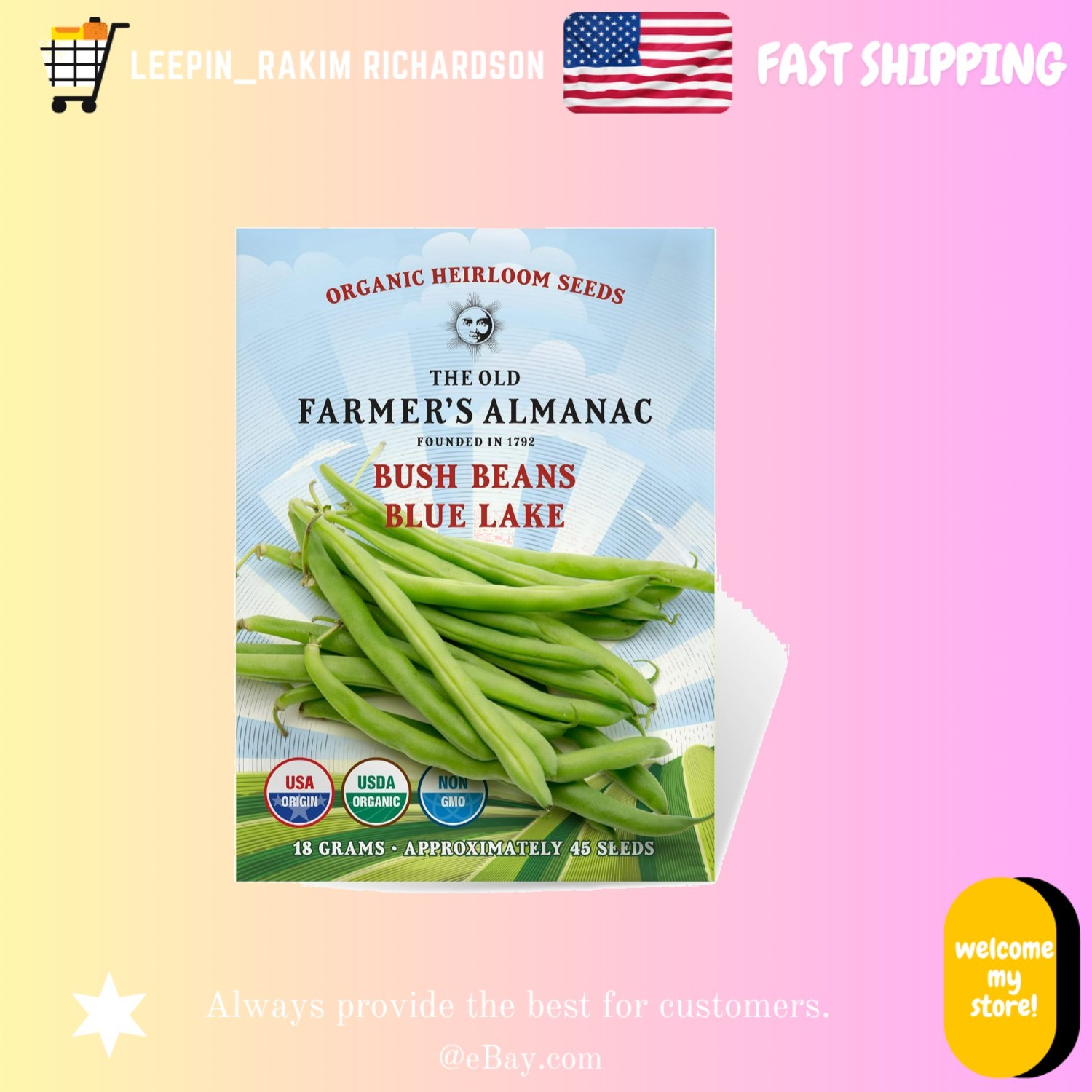 Organic Blue Lake Bush Bean Seeds, Heirloom, Non-GMO, 45 Seeds