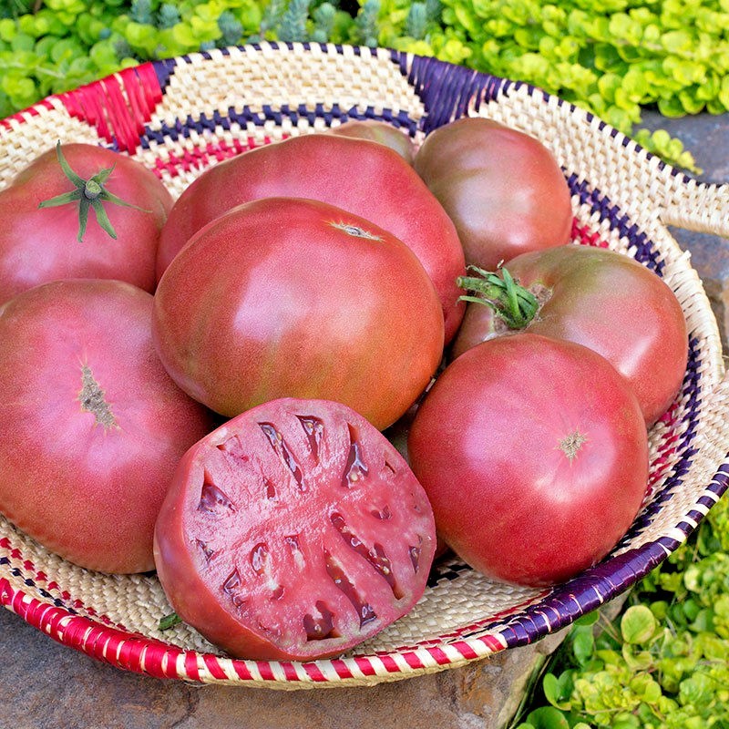 51+CHEROKEE PURPLE TOMATO Seeds Organic Native Heirloom Summer Garden Container
