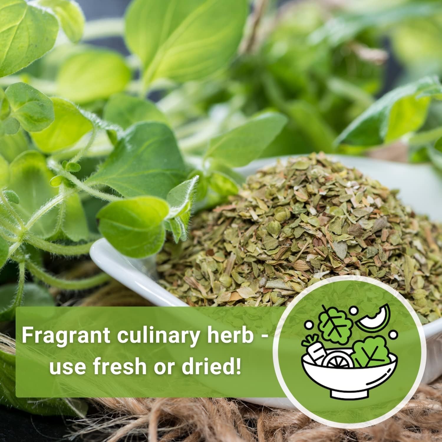Sow Right Seeds – Oregano Seed for Planting – Non-GMO Heirloom- Instructions to