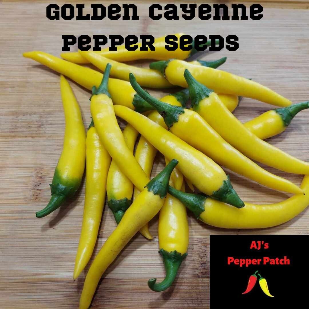 15 Golden Cayenne Pepper SEEDS | Golden Cayenne Pepper SEEDS | NON-GMO