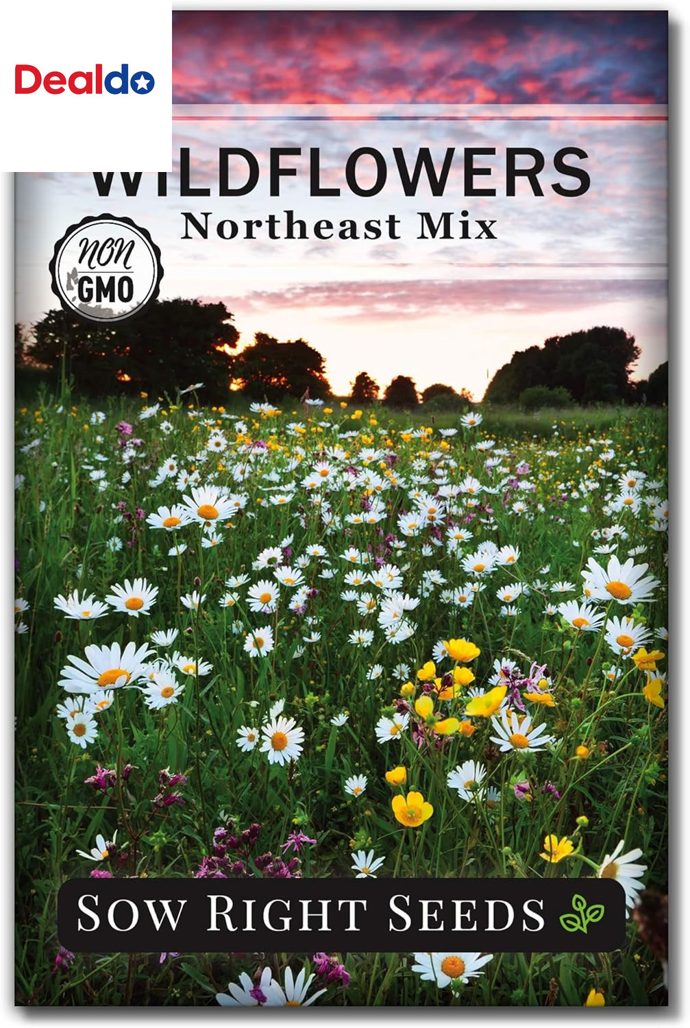 – Wildflowers Seeds Mix for Planting in Northeast – Non-Gmo Heirloom Varieties t