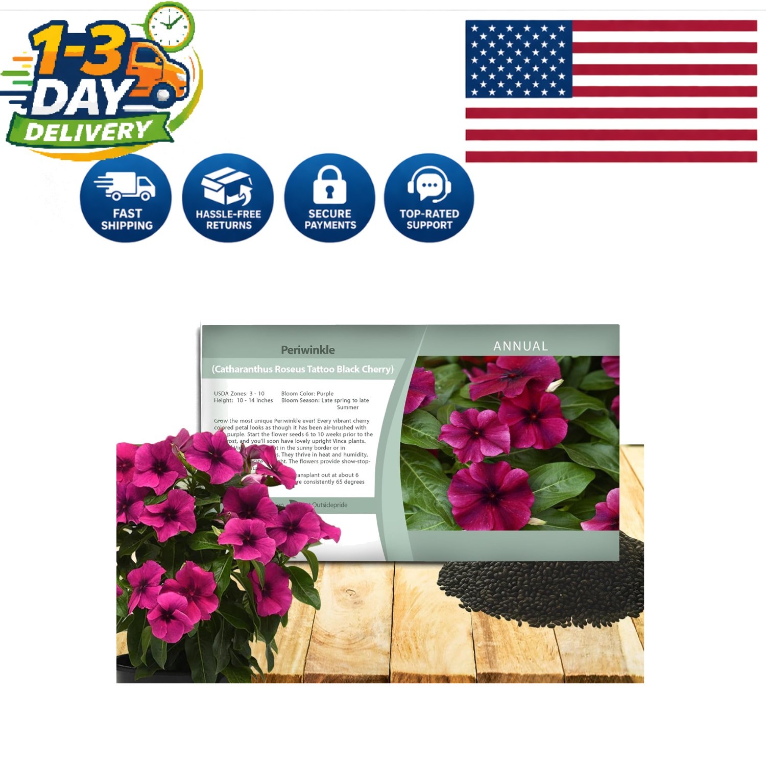 Annual Black Cherry Periwinkle Seeds – 50 Count, Exceptional Drought Resistance