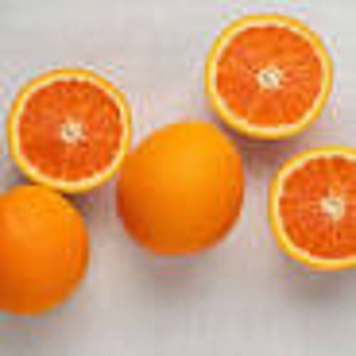 CARA CARA NAVEL ORANGE- 3 fresh cuttings, imported, Europe