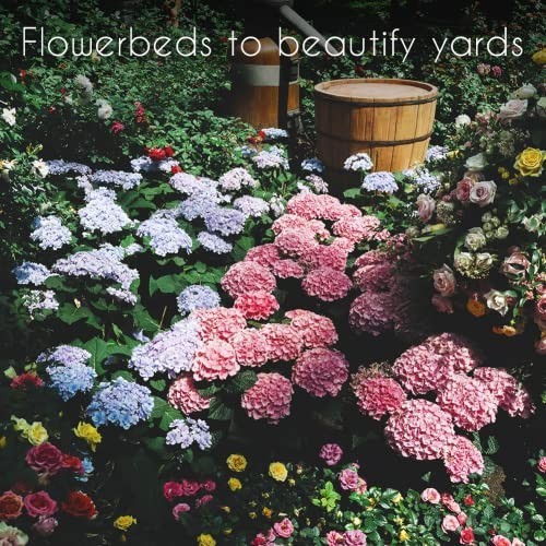 35 Flower Seed Packets – Perennial, Annual & Wildflower Seeds for Bees & Butterf