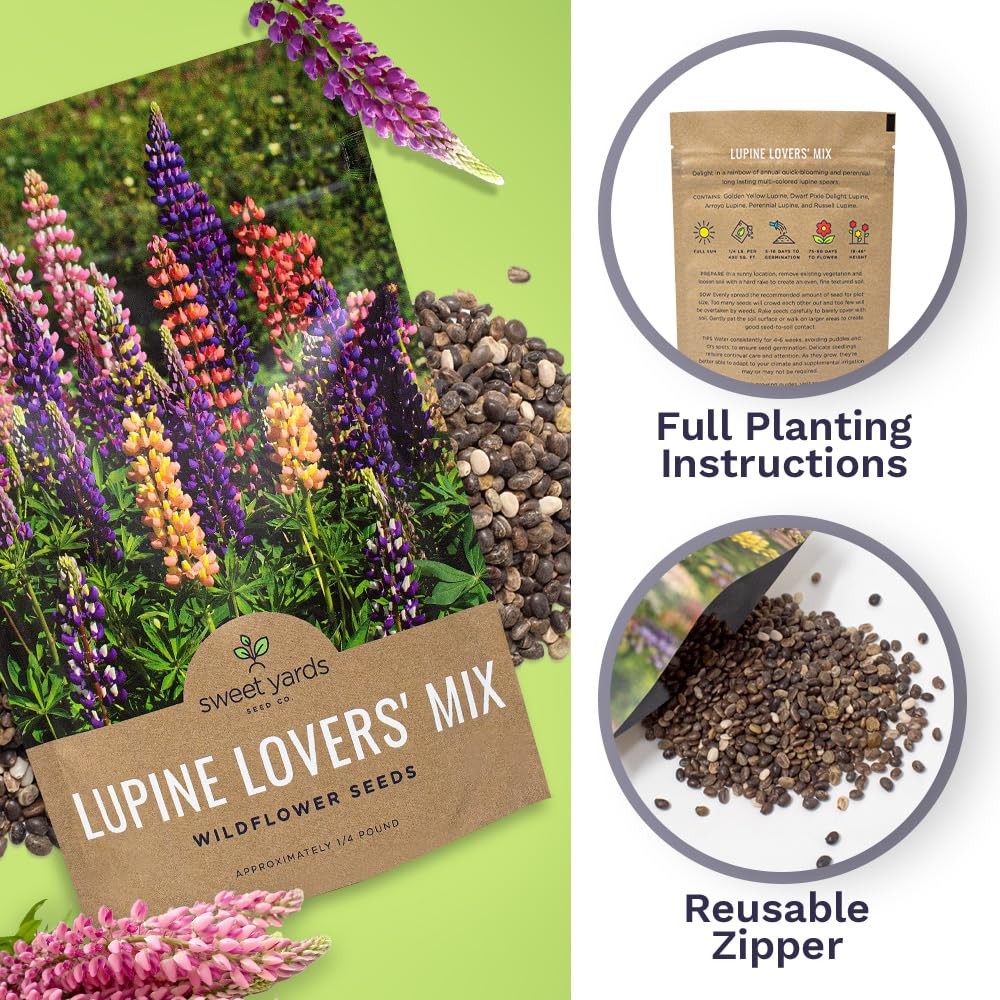 Bulk Lupine Mix Wildflower Seeds, 1/4 Pound Bag, Over 4,500 Annual, Perennial