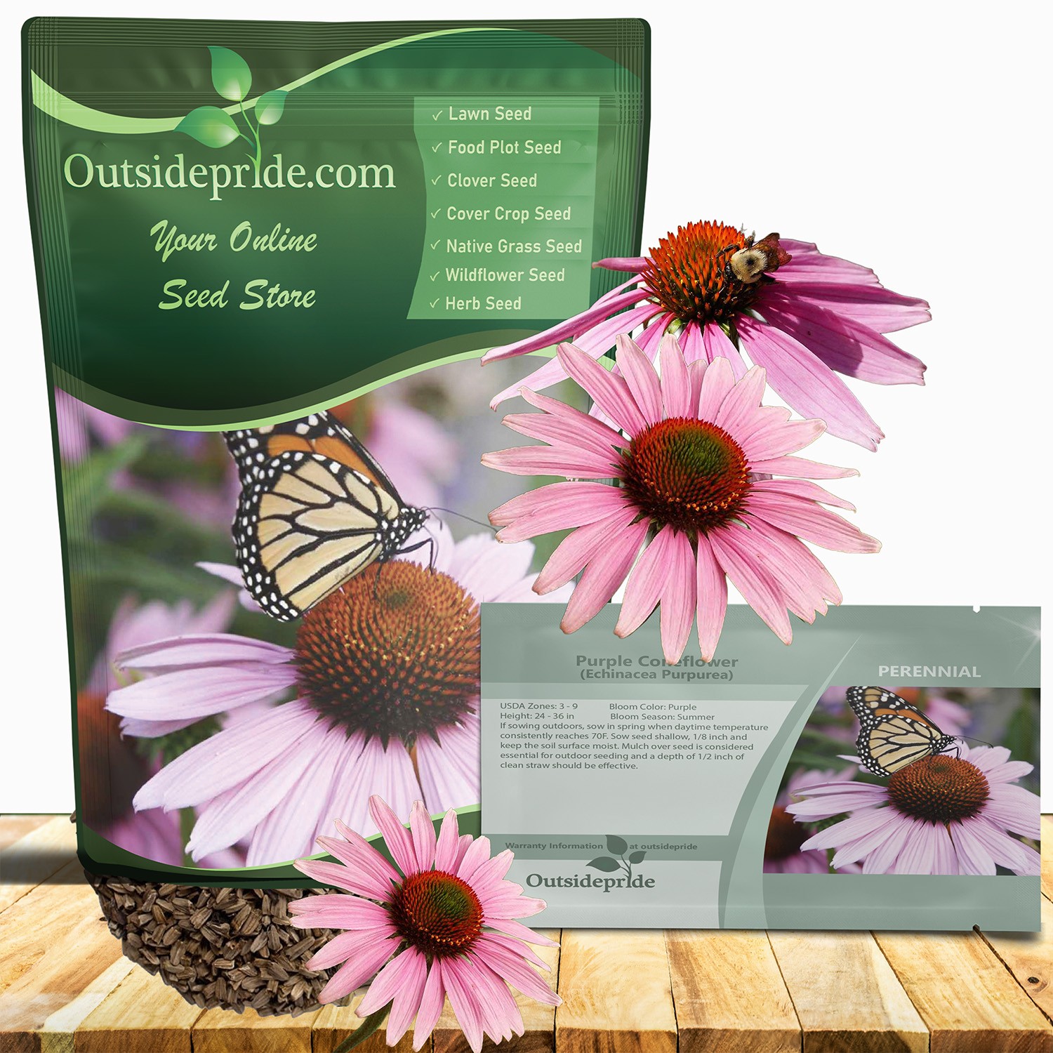 1000 Seeds Purple Coneflower Wild Flower Seed For Planting | Echinacea Seeds