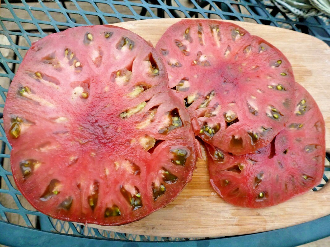 51+CHEROKEE PURPLE TOMATO Seeds Organic Native Heirloom Summer Garden Container