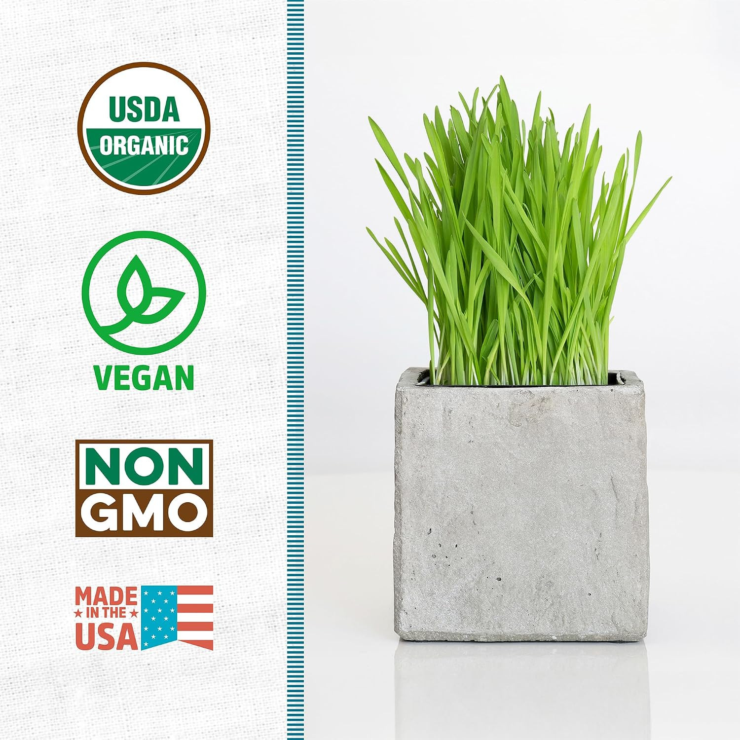 100% Organic Wheatgrass Seeds | 1 Pound Non-Gmo | Nutrient
