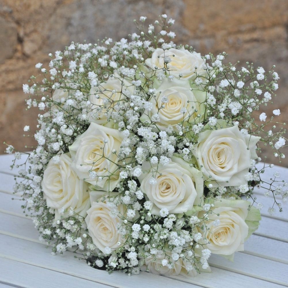 501+BABY’S BREATH Seeds Annual Cut Dried Flowers Summer Garden Patio Container