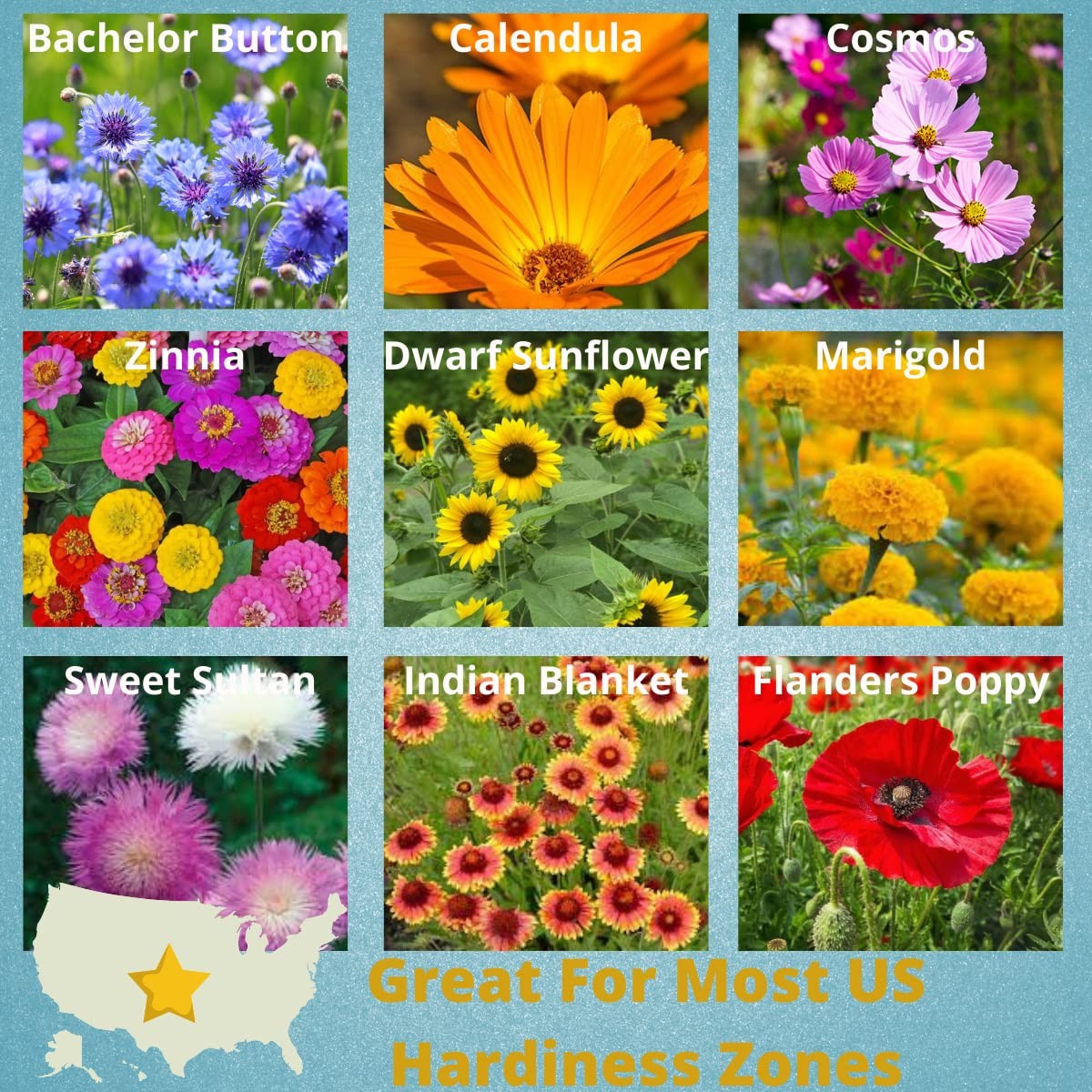 Wildflower Seed Packets 20 Bee Butterfly Hummingbird Garden Annual Mix