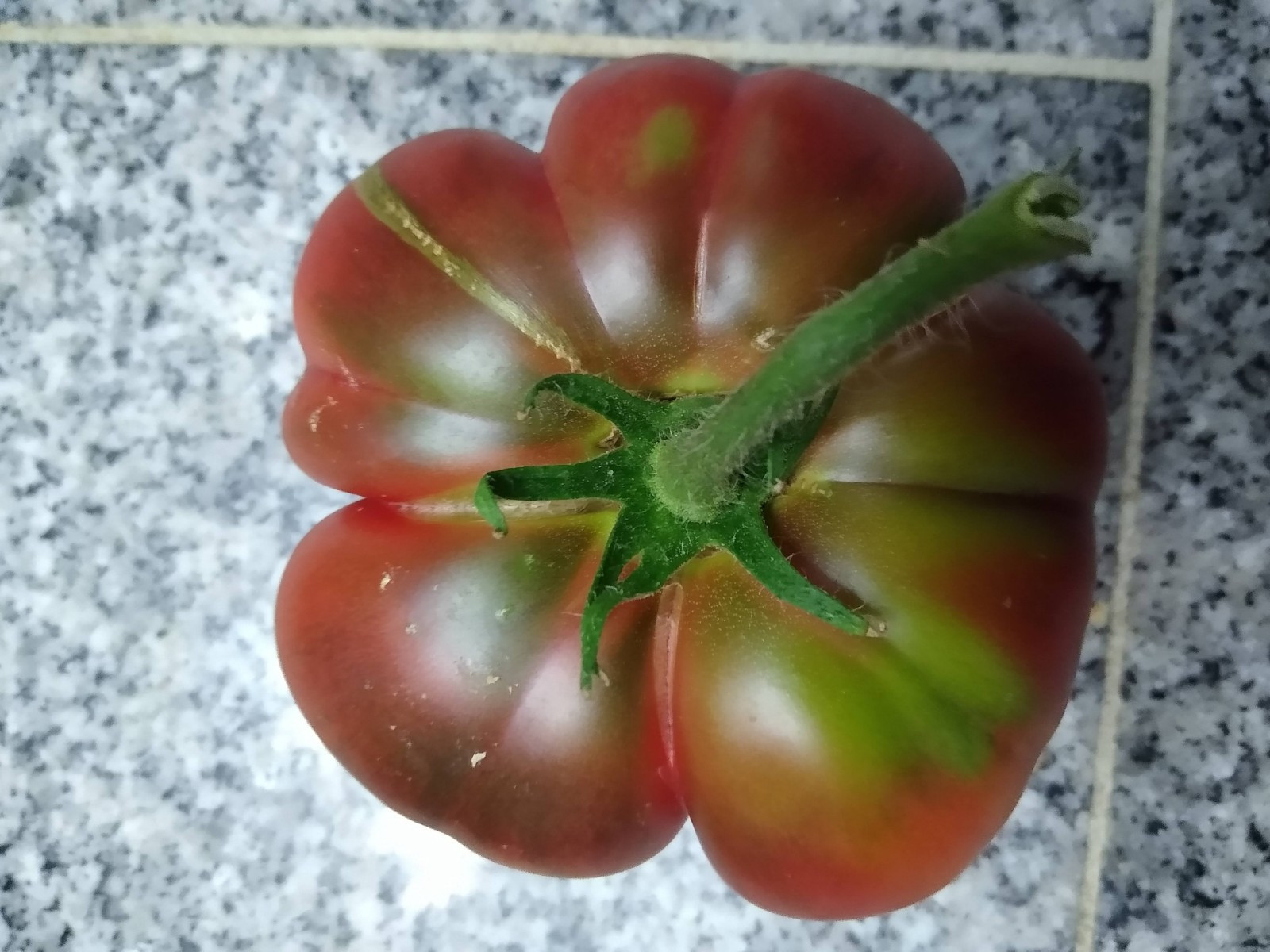 Heirloom Tomato Seed Variety Pack ( 30 seeds) Unique & Flavorful Tomatoes 🍅