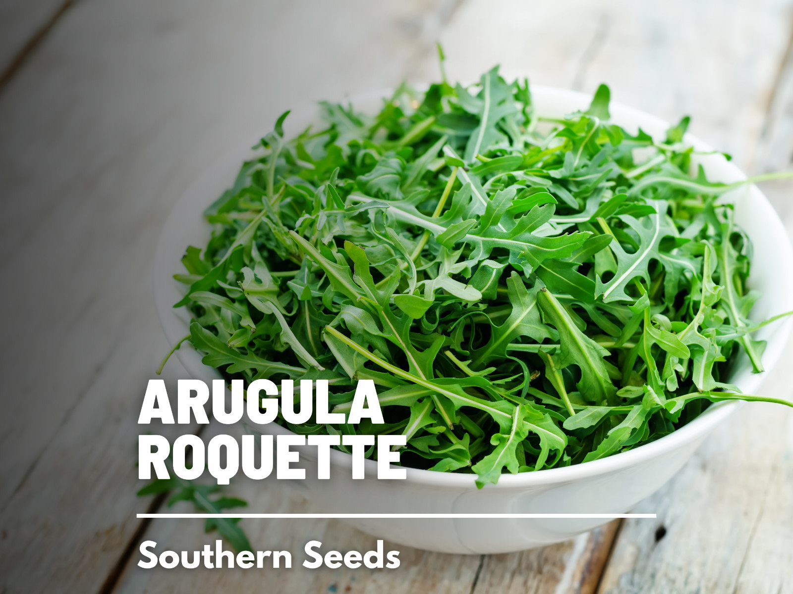 Arugula, Roquette – 200 Seeds – Culinary Herb – Non GMO (Eruca vesicaria sativa)