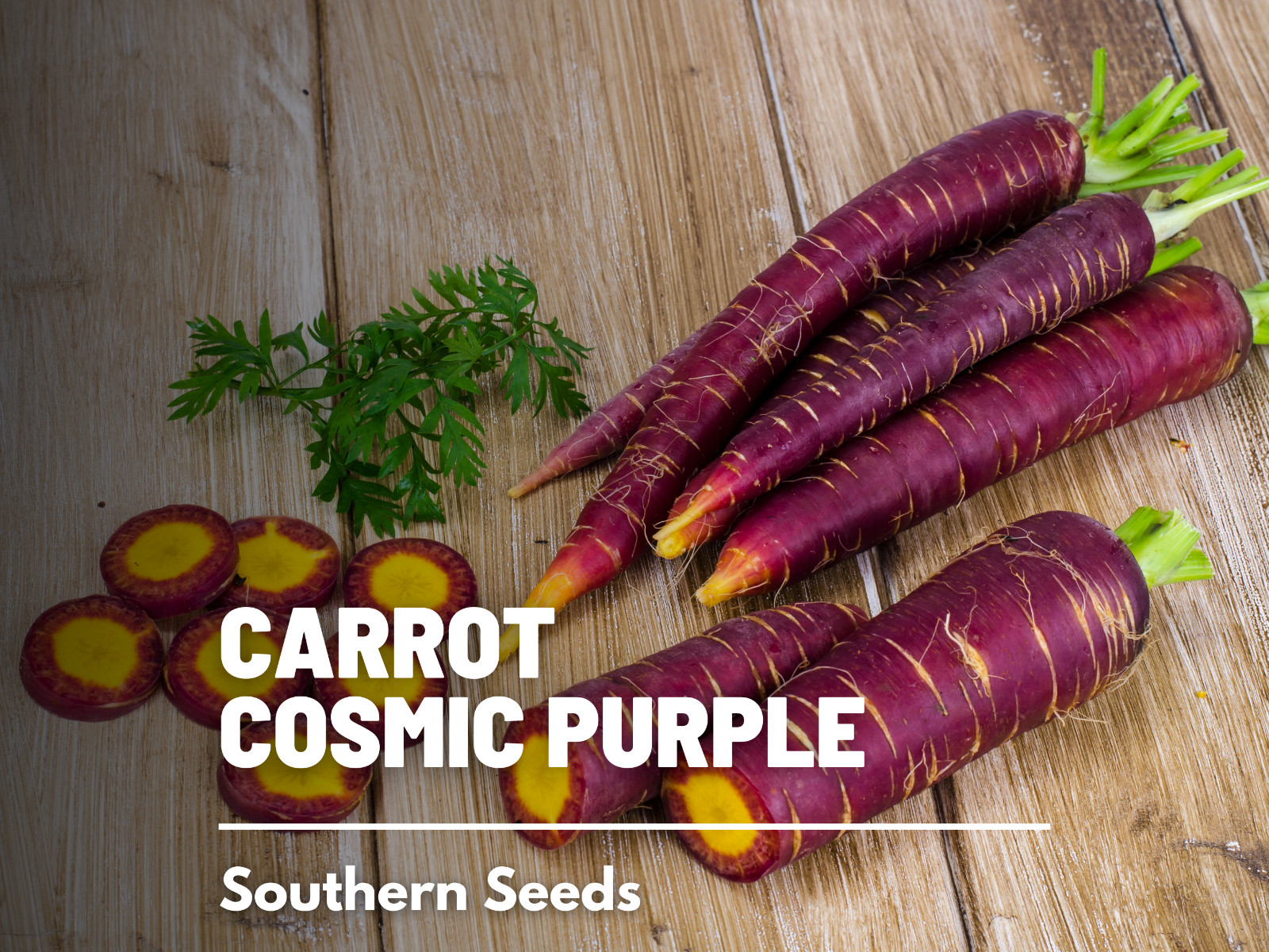 Carrot, Cosmic Purple – 250 Heirloom Seeds – Non-GMO (Daucus carota var stativus