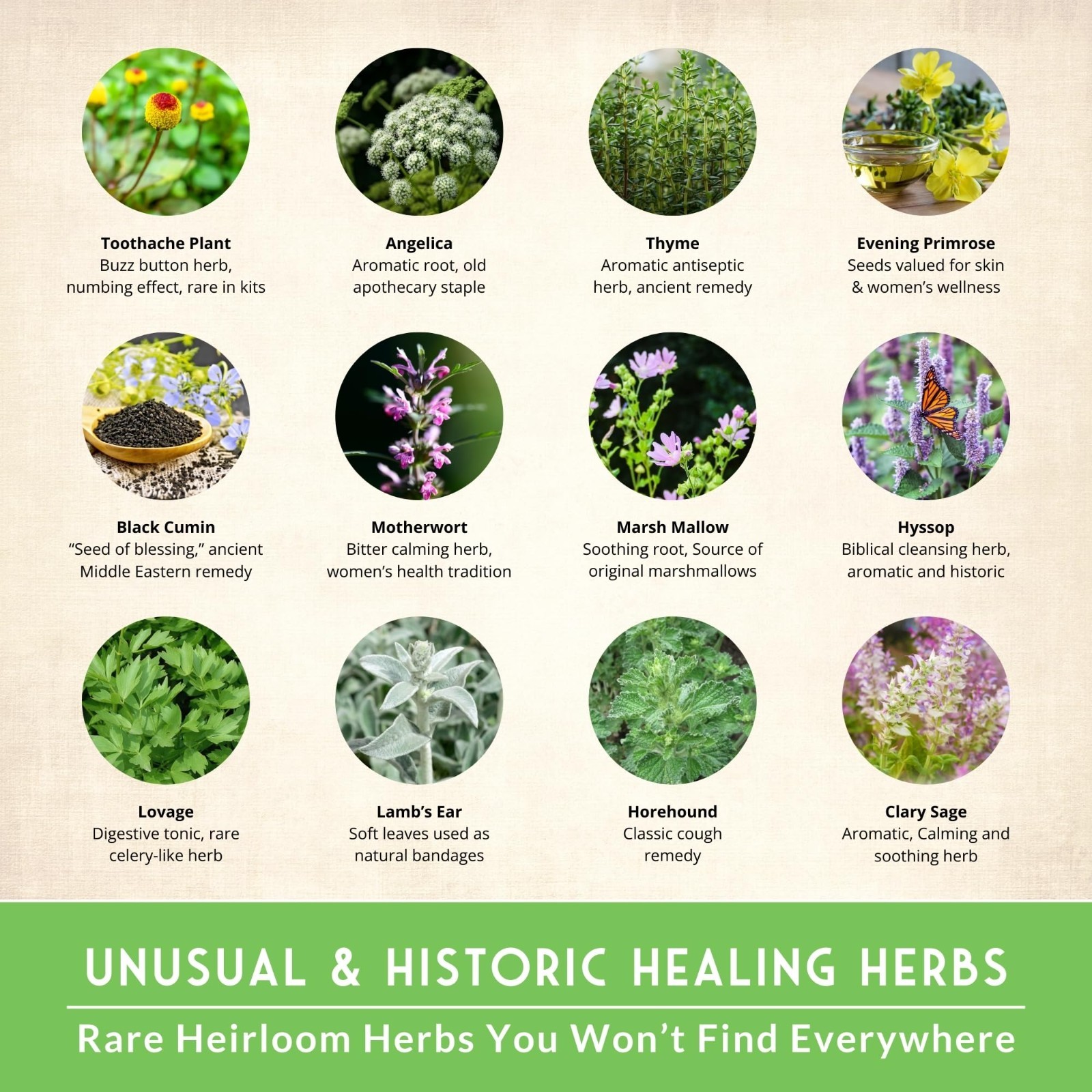Medicinal Herb Seeds Variety Pack – 36 Heirloom Non-GMO Healing Herbs for Wellne
