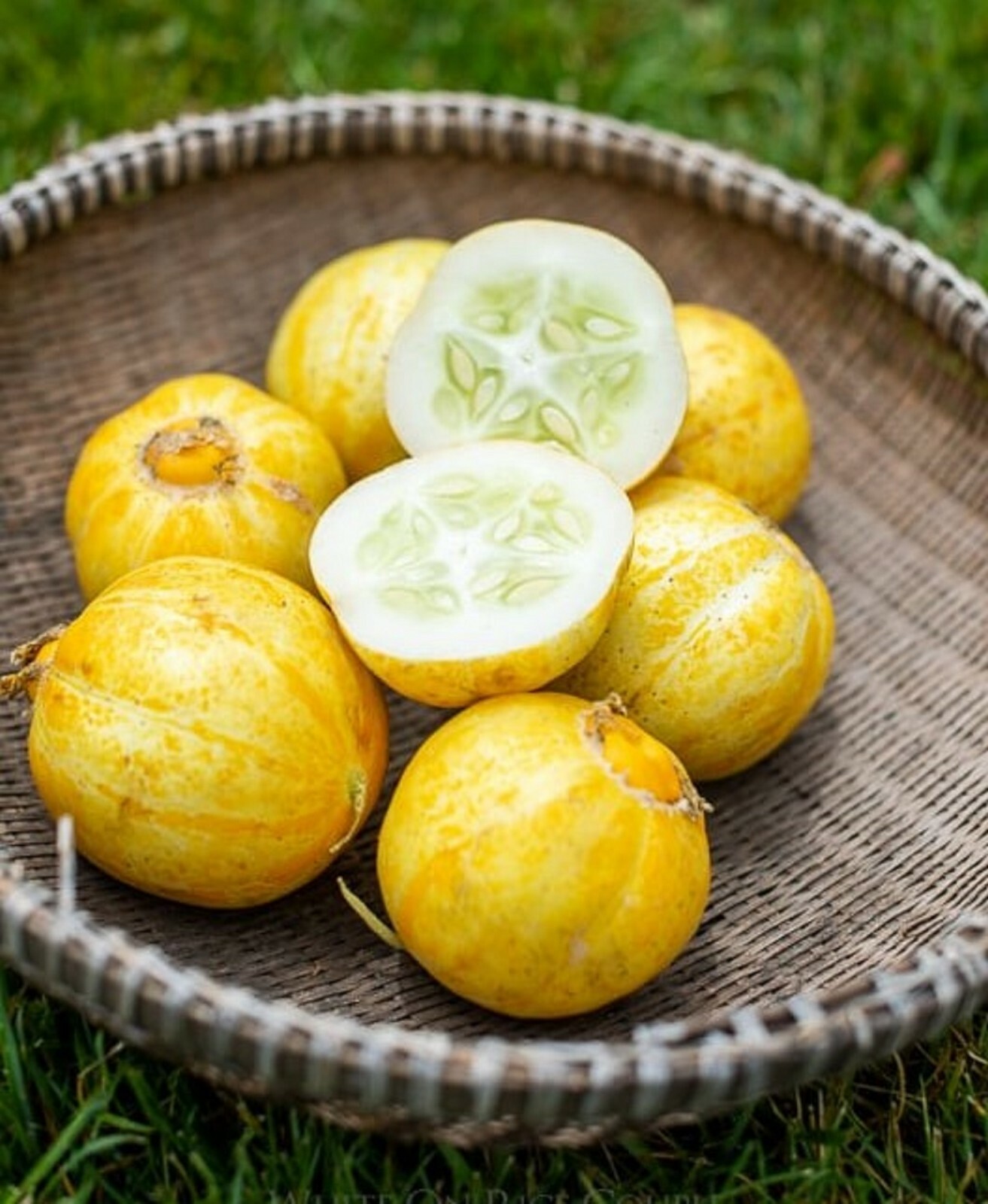 Lemon Cucumber -30 Seeds -Heirloom NON-GMO Rare Crispy Sweet