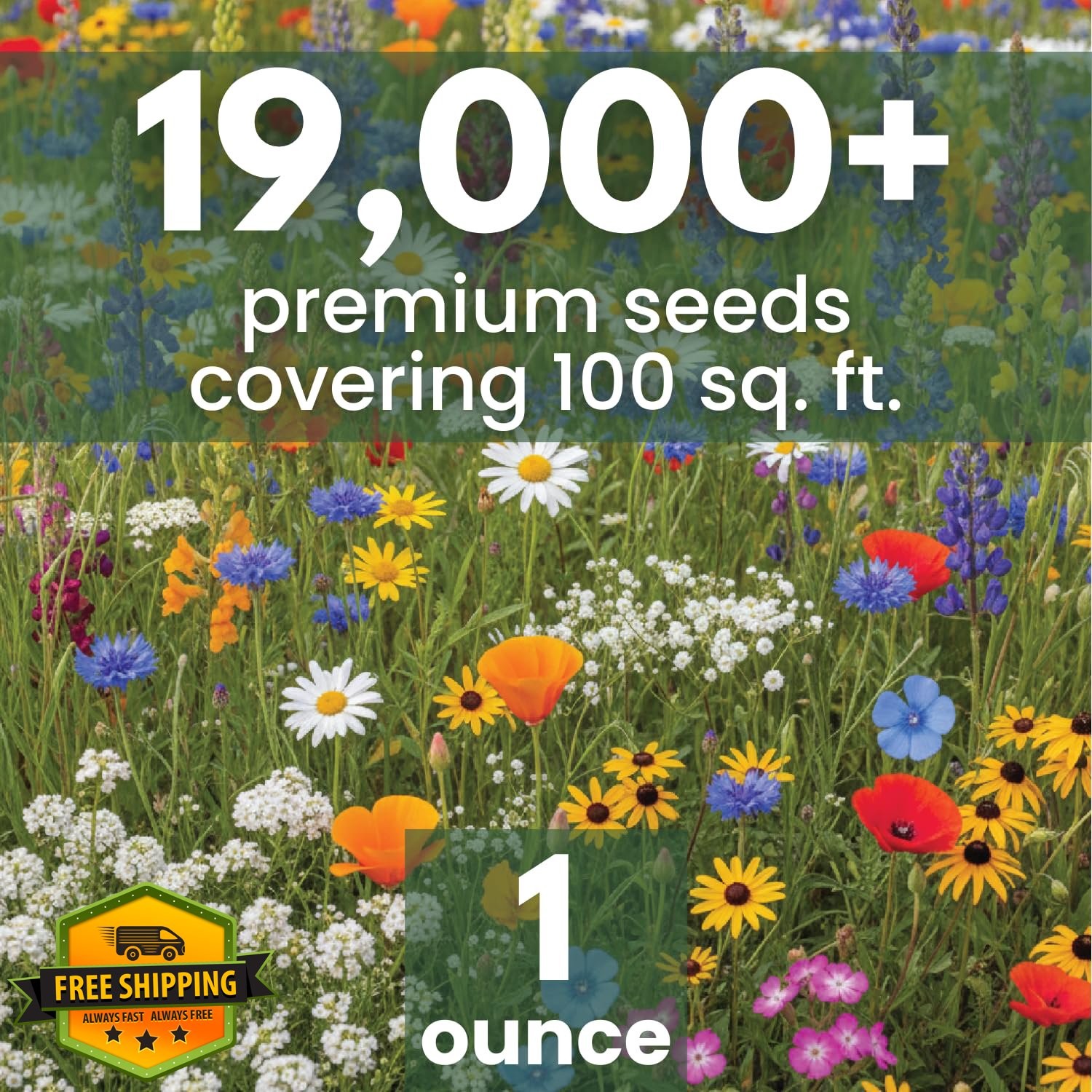 California Regional Mix Flower Seeds 1 Ounce Pouch 19000 Seeds 2026 Season