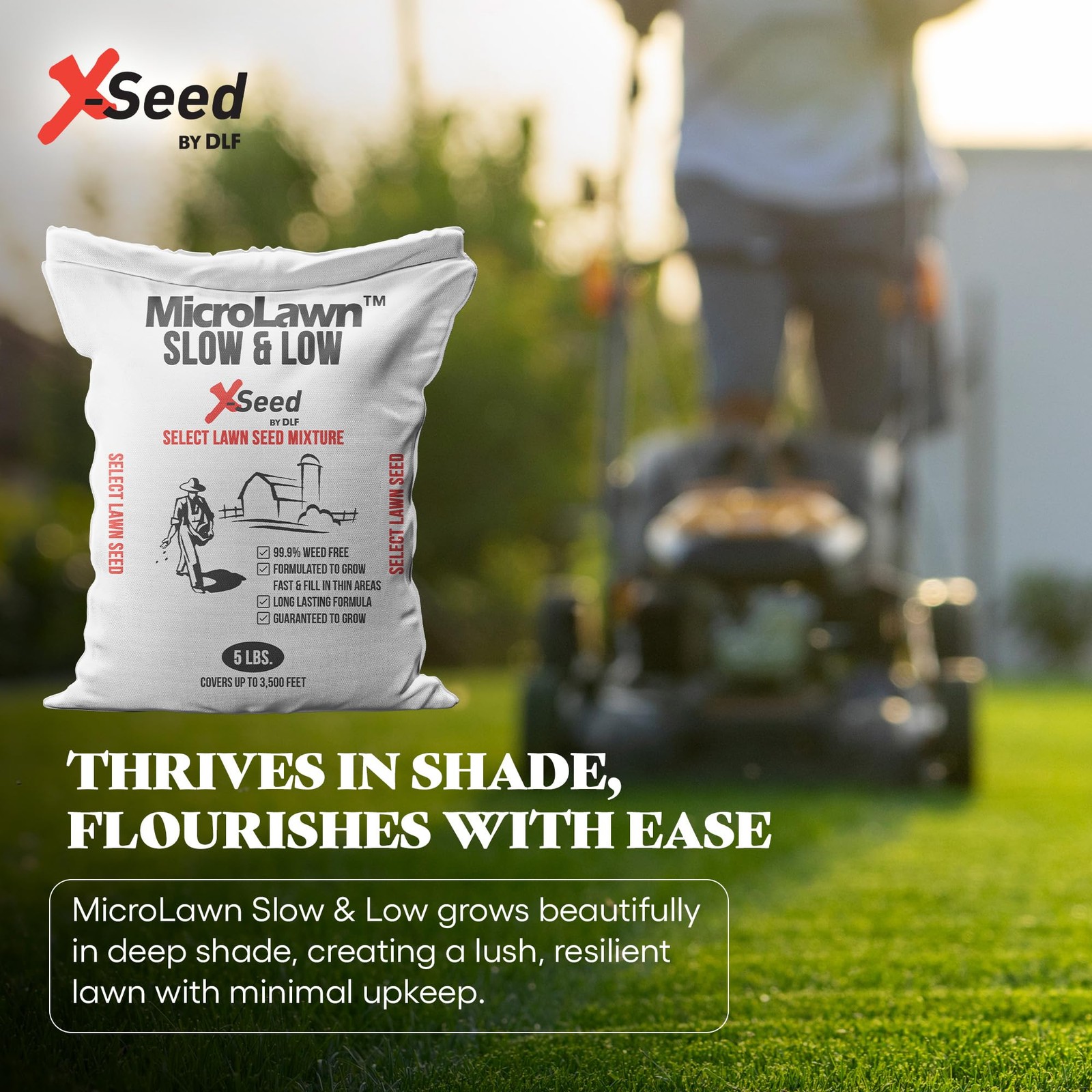 “5LB Micro Lawn Grass Seed for Cool Season, Shade, No Mow, Low Maintenance”
