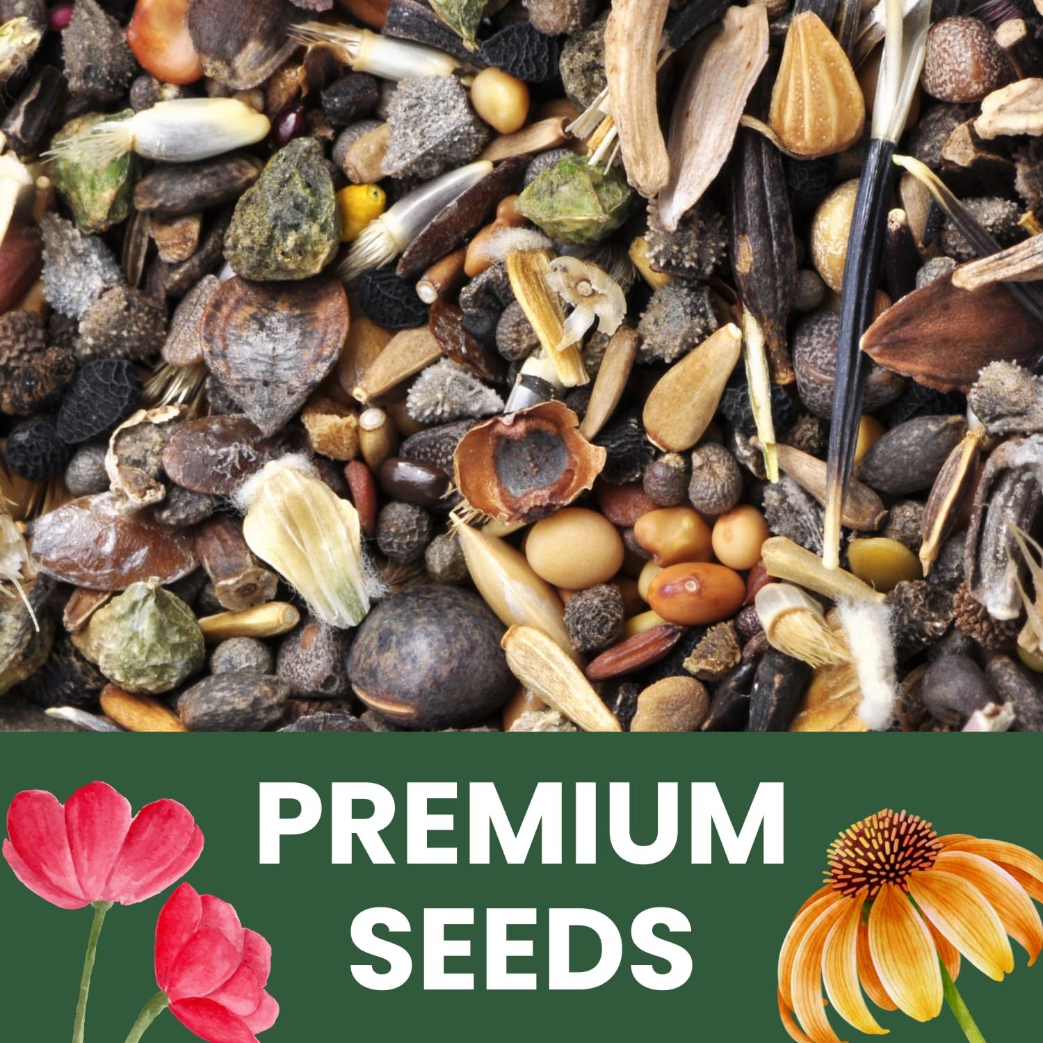 Bulk Cosmos Flower Seeds 20,000 Count for Planting 1/4 Pound Pouch