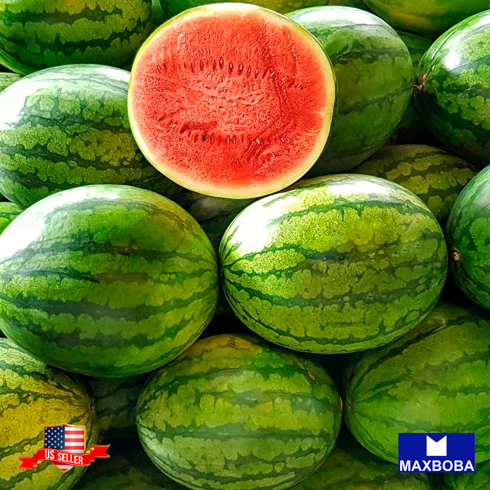 Fresh!! Watermelon Seeds Non-GMO Heirloom Vegetable