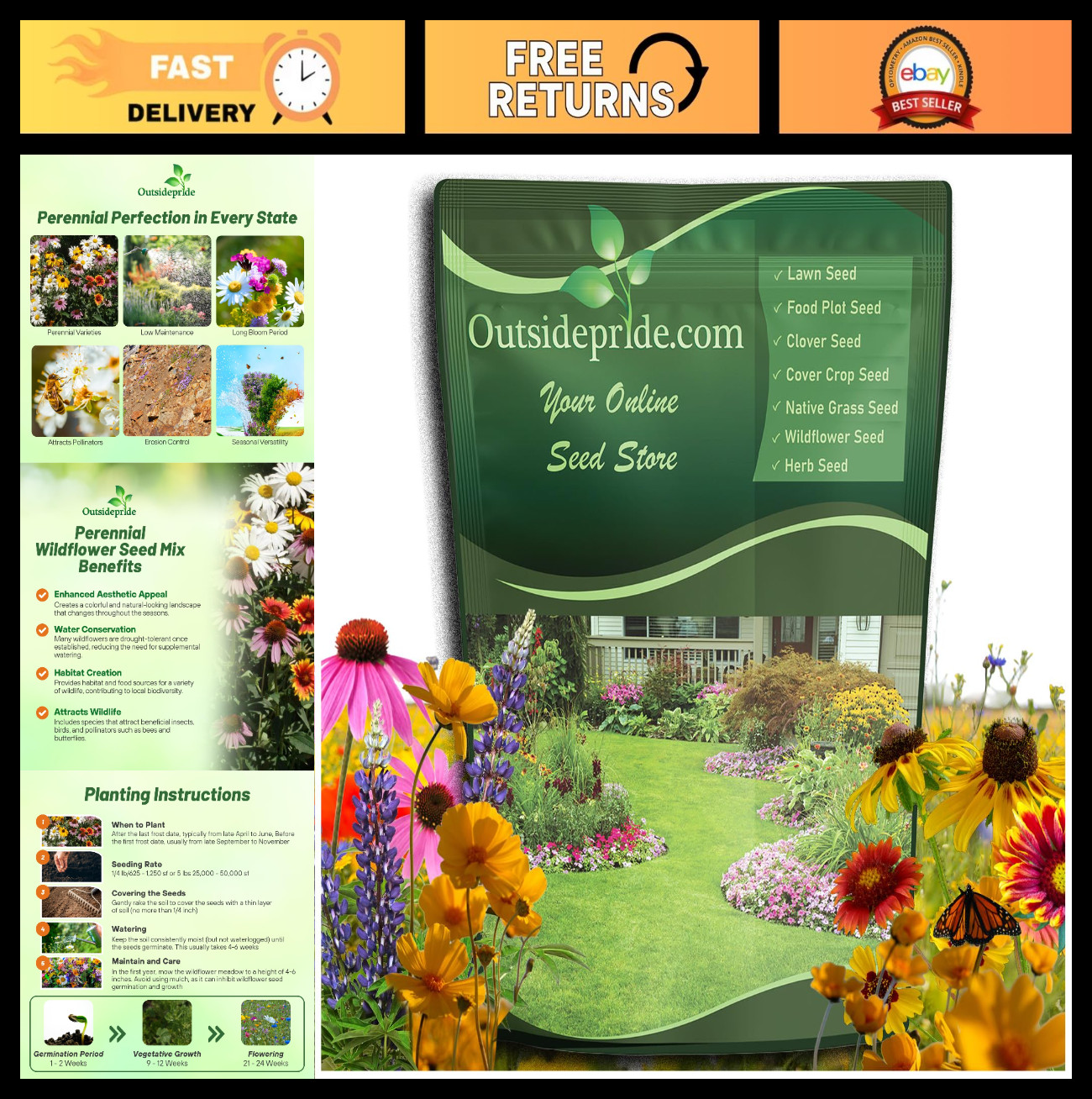 1 lb Perennial Wildflower Seed Mix – Easy Grow, Long-Lasting Blooms for Gardens