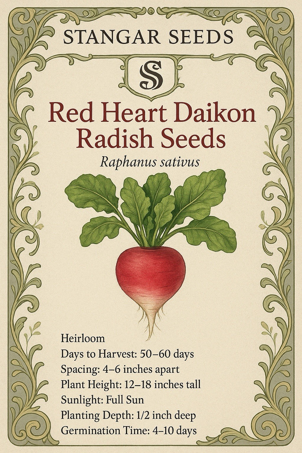 Red Heart Daikon Radish