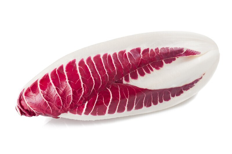 1000 ENDIVE SEEDS – RED TREVISO Non-GMO Heirloom Free Shipping USA Seller