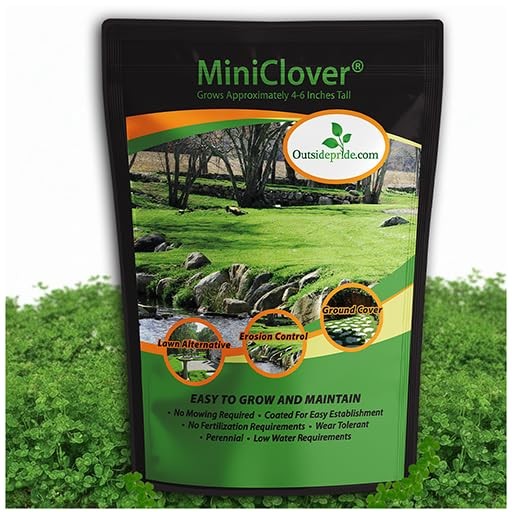 Mini Clover Seed – Drought Tolerant Ground Cover for Easy Lawn Care, 1/4 lb