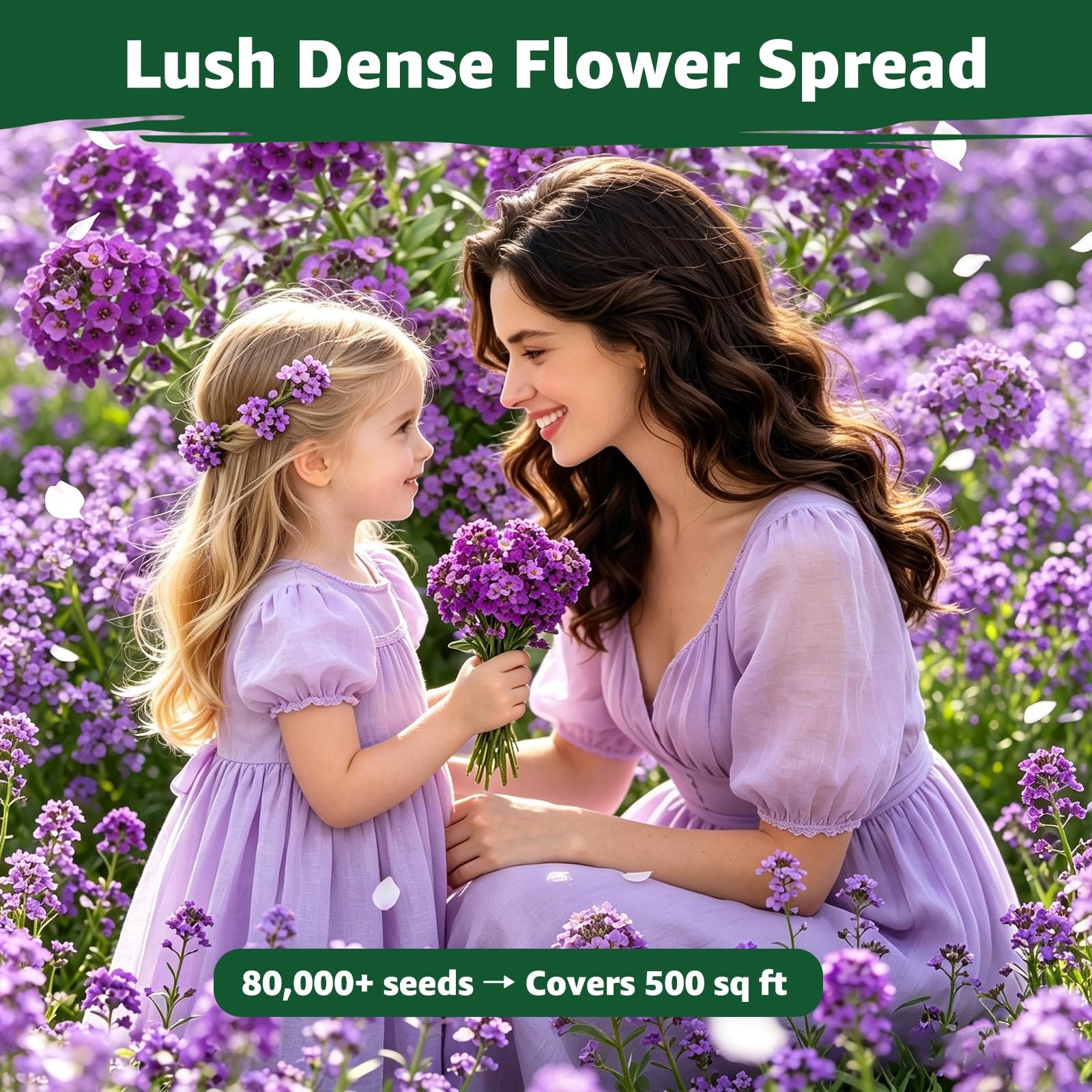 Purple Royal Carpet Alyssum Seeds – Fragrant Perennial Ground Cover for Gardens
