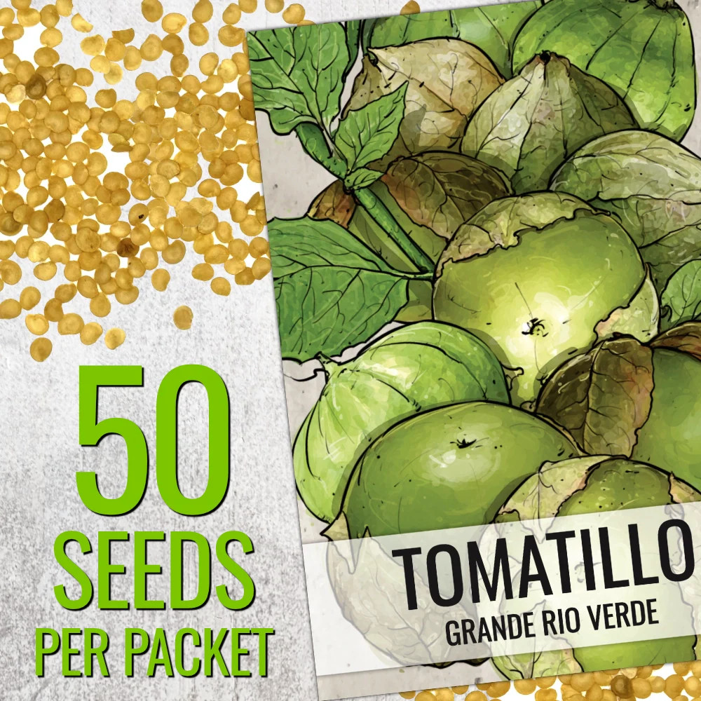 Grande Rio Verde Tomatillo Seeds For Planting (Physalis ixocarpa)