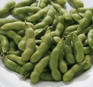 Soybean Edamame Sweet Tohya 250 seeds