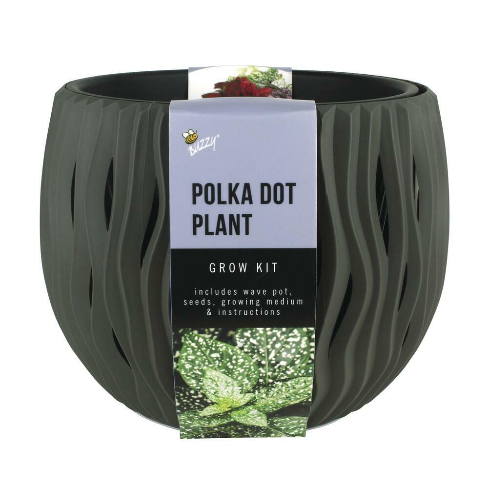 Buzzy 6 inch Black Plastic Wave Pot Polka Dot Plant Seed Complete Grow Kit