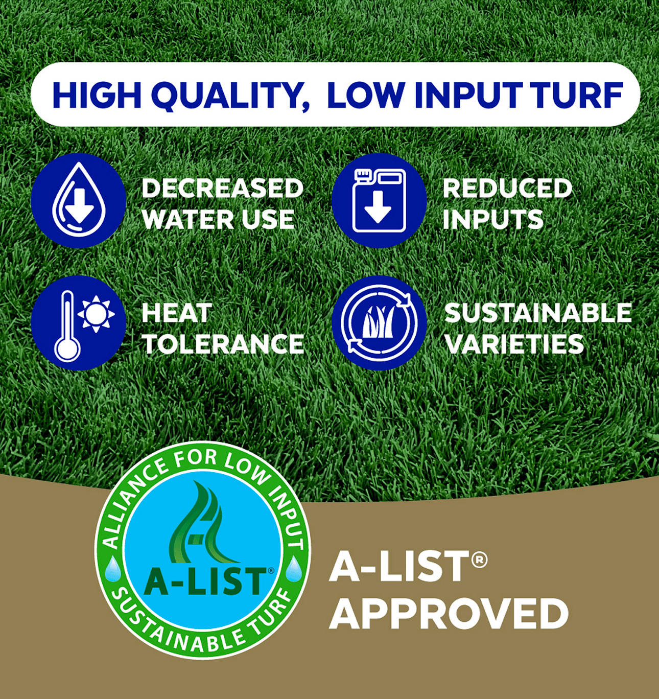 The Andersons Stadium Mix Kentucky Bluegrass Premium Grass Seed
