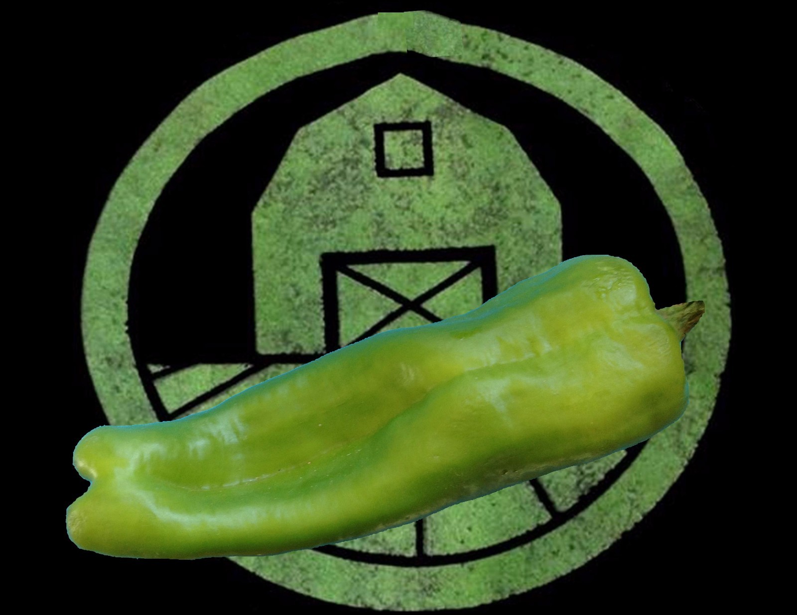 10+ Sweet Cubanelle Pepper seeds (organic chili, chile) Great for Stuffing